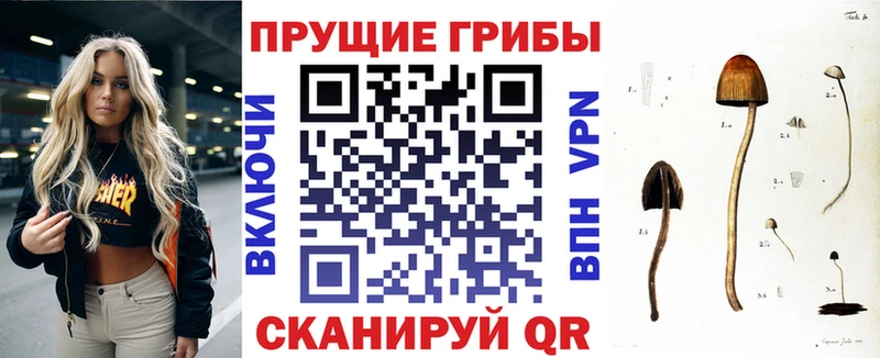 Псилоцибиновые грибы мицелий  ОМГ ОМГ зеркало  Лакинск 